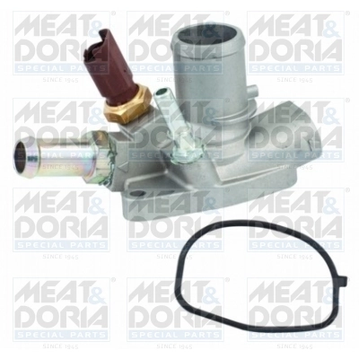 Thermostat, coolant